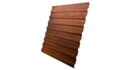 Профнастил С20B 0,4 Print Premium Golden Wood Fresh TwinColor